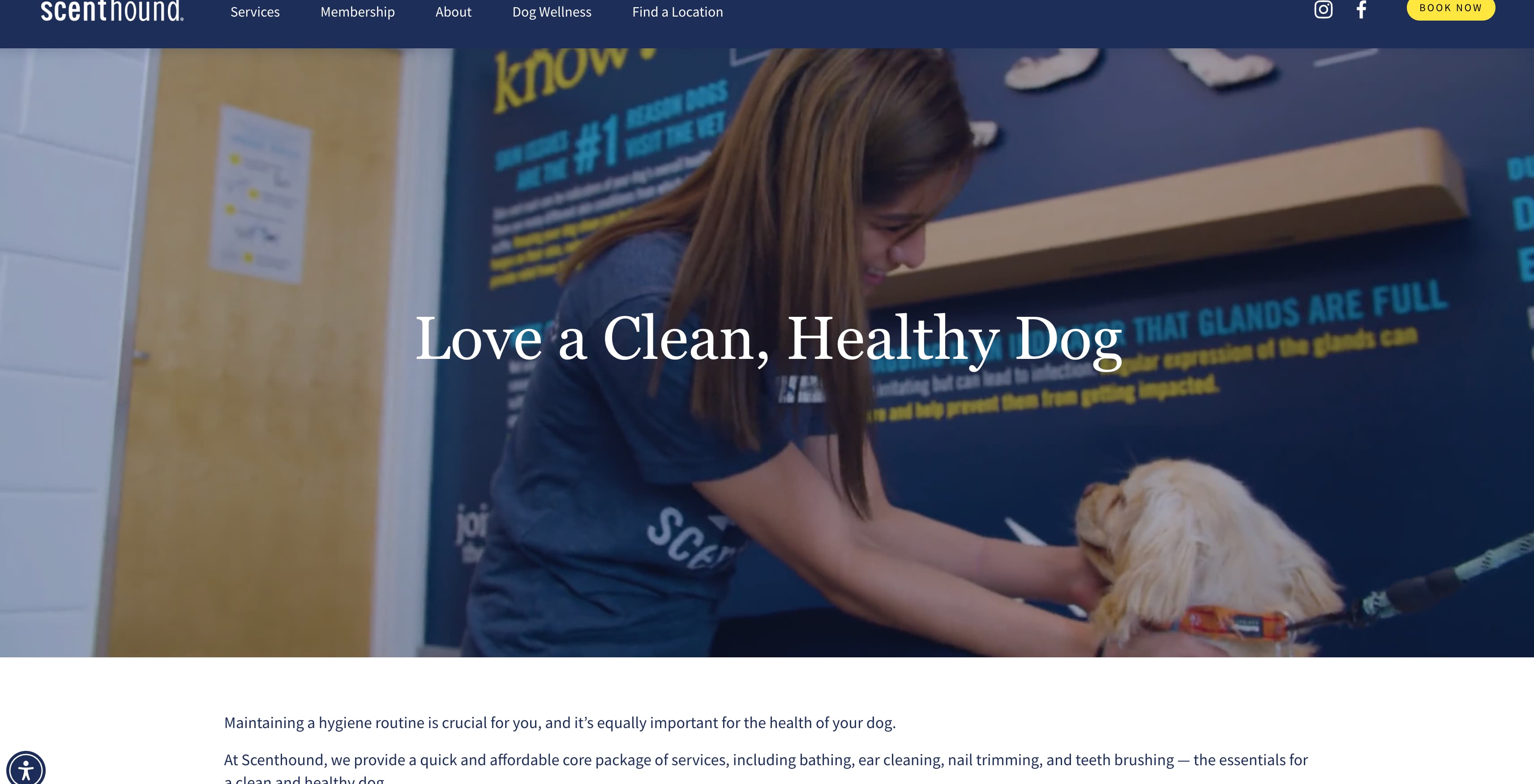 Scenthound CRM and client follow-up automation system